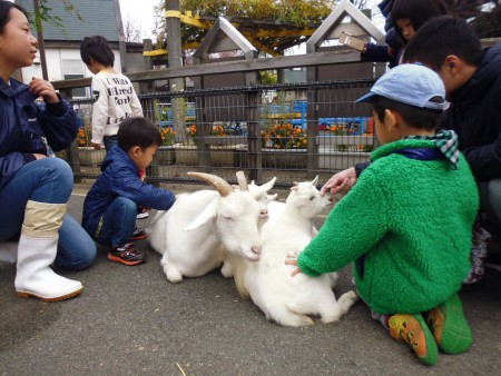 ふれあい動物広場にて。こわくなーい。こわくなーい